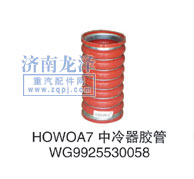 WG9925530058,中冷器胶管,山东弗壳润滑科技有限公司