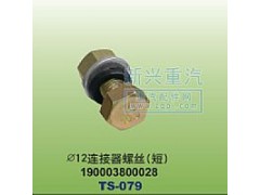 190003800028,￠12连接器螺丝短,晋江新兴螺丝有限公司