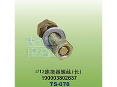 190003802637,￠12连接器螺丝长,晋江新兴螺丝有限公司