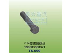 190003800371,￠14差速器螺丝,晋江新兴螺丝有限公司