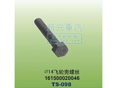 161500020046,￠14飞轮壳螺丝,晋江新兴螺丝有限公司