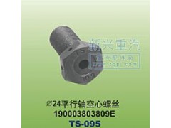 190003803809E,￠24平行轴空心螺丝,晋江新兴螺丝有限公司