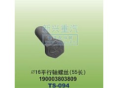 190003803809,￠16平行轴螺丝55长,晋江新兴螺丝有限公司