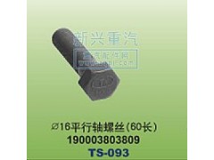 190003803809,￠16平行轴螺丝60长,晋江新兴螺丝有限公司