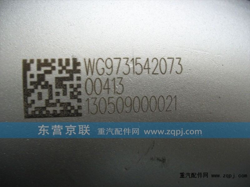 WG9731542073,,东营京联汽车销售服务有限公司