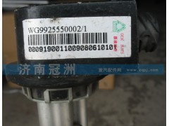 WG9925550002/1,油量传感器,济南冠洲重汽配件