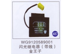 WG9120589001,,山东明水汽车配件厂有限公司销售分公司