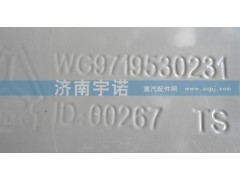 WG9719530231,水箱,山东宇诺汽车散热器有限公司