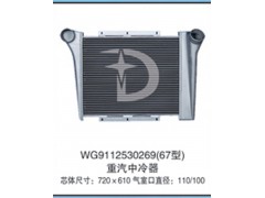 WG9112530269(67型),中冷器,济南鼎鑫汽车散热器有限公司