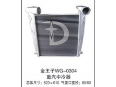 金王子WG-0304,中冷器,济南鼎鑫汽车散热器有限公司