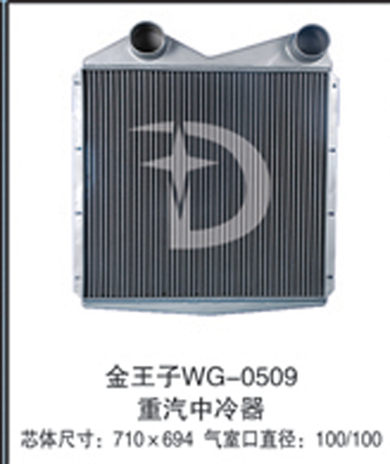 金王子WG-0509,中冷器,济南鼎鑫汽车散热器有限公司