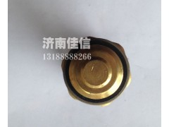 612600061653,双温控开关,济南同驰汽车配件有限公司