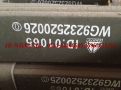 WG9232520026,前右钢板弹簧总成,济南海纳汽配有限公司