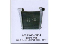 ,中冷器  金王子WG-0304,济南铭洋汽车散热器有限公司