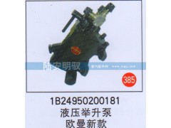 1B24950200181,,山东陆安明驭汽车零部件有限公司.