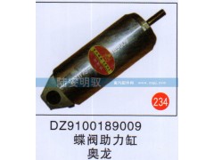 DZ9100189009,,山东陆安明驭汽车零部件有限公司.