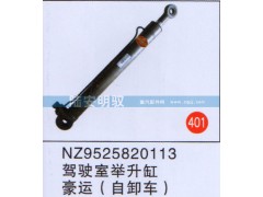 NZ9525820113,,山东陆安明驭汽车零部件有限公司.