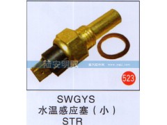 SWGYS,,山东陆安明驭汽车零部件有限公司.