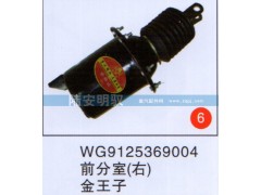 WG9125369004,,山东陆安明驭汽车零部件有限公司.