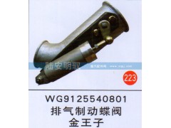 WG9125540801,,山东陆安明驭汽车零部件有限公司.