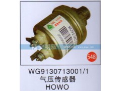 WG9130713001-1,,山东陆安明驭汽车零部件有限公司.