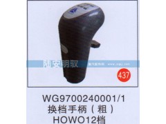 WG9700240001-1,,山东陆安明驭汽车零部件有限公司.