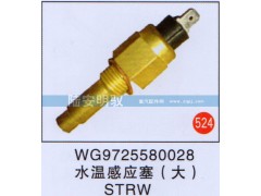 WG9725580028,,山东陆安明驭汽车零部件有限公司.