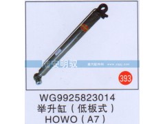 WG9925823014,,山东陆安明驭汽车零部件有限公司.