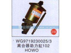 WG97192300253,,山东陆安明驭汽车零部件有限公司.