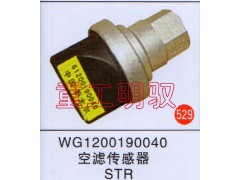 WG1200190040,空滤传感器,山东陆安明驭汽车零部件有限公司