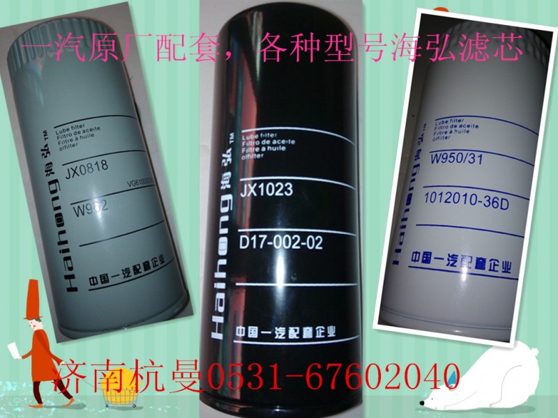 VG61000070005,滤芯,济南杭曼汽车配件有限公司