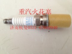 VG1560080701,火花塞,济南杭曼汽车配件有限公司