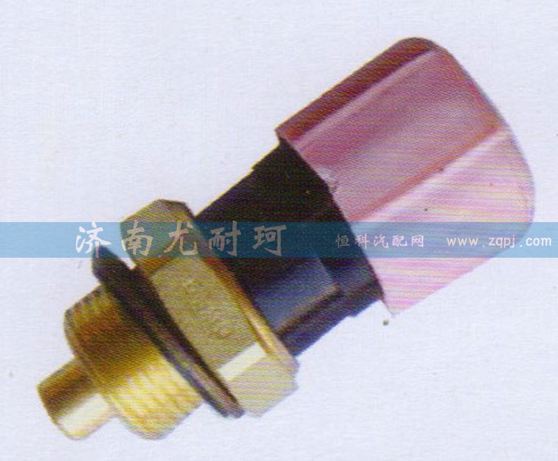 612600061653 双温控开关图1