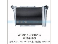 WG9112530237,重汽中冷器,茌平双丰散热器有限公司驻济南办事处