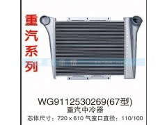 WG9112530269(67型),重汽中冷器,茌平双丰散热器有限公司驻济南办事处