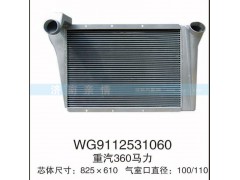 WG9112531060,重汽360马力,茌平双丰散热器有限公司驻济南办事处