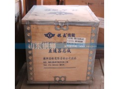 B913050300,0503差速器总成,山东铜狮汽车零部件有限公司