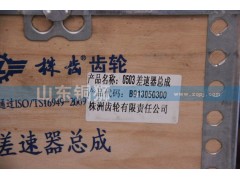 B913050300,0503差速器总成,山东铜狮汽车零部件有限公司