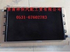 WG1630820086,冷凝器总成,济南祥恒汽配工贸有限公司