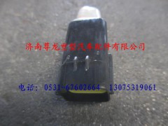 DZ9100585012,陕汽德龙远程油门模拟电阻器,济南尊龙(原天盛)陕汽配件销售有限公司