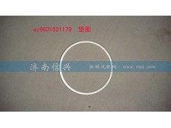 AZ9631521179,垫圈,济南信兴汽车配件贸易有限公司