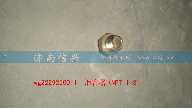 WG2229250011,消音器(NPT 1、8),济南信兴汽车配件贸易有限公司