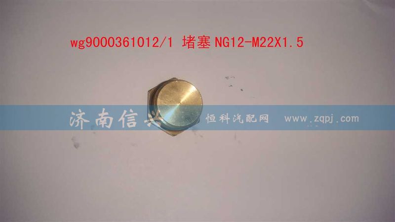 WG9000361012,堵塞NG12-M22X1.5.,济南信兴汽车配件贸易有限公司