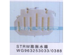 WG963253033-0388,STRW膨胀水箱,济南金刚志方商贸有限公司