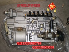 VG1560080021,国产高压喷油泵带K型调速器,济南凯尔特商贸有限公司