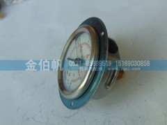 DZ 96259560379  2.5Mpa,轴向压力表,济南金伯帆汽车配件有限公司