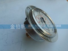 DZ96259560379,轴向压力表,济南金伯帆汽车配件有限公司