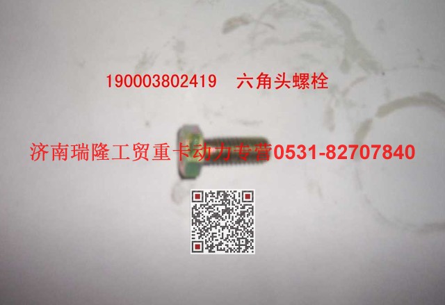 190003802419,六角头螺栓,济南瑞隆工贸重卡动力专营