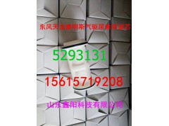 5293131,尿素泵滤芯,济南鑫阳重卡创业工贸有限公司