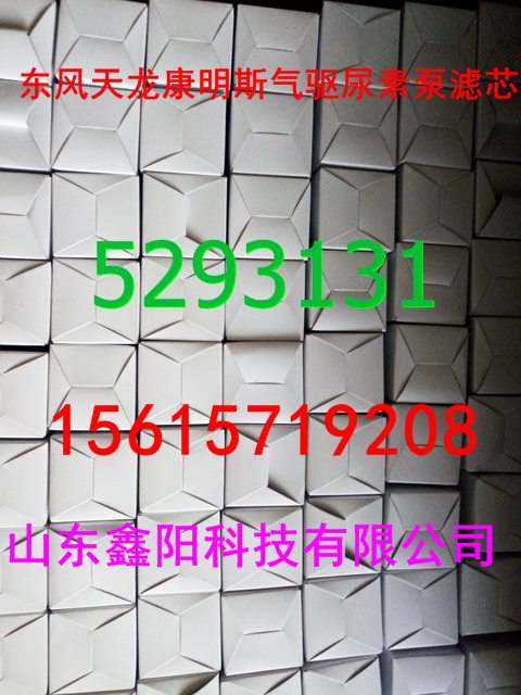 5293131,尿素泵滤芯,济南鑫阳重卡创业工贸有限公司